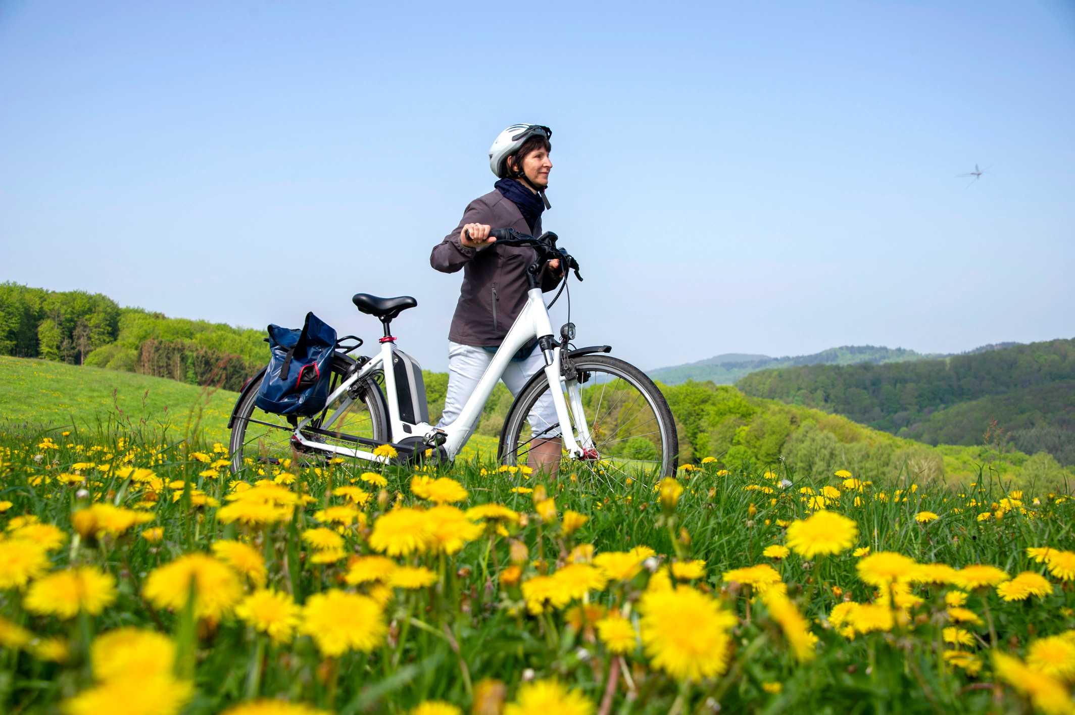 fietsaccu reviseren