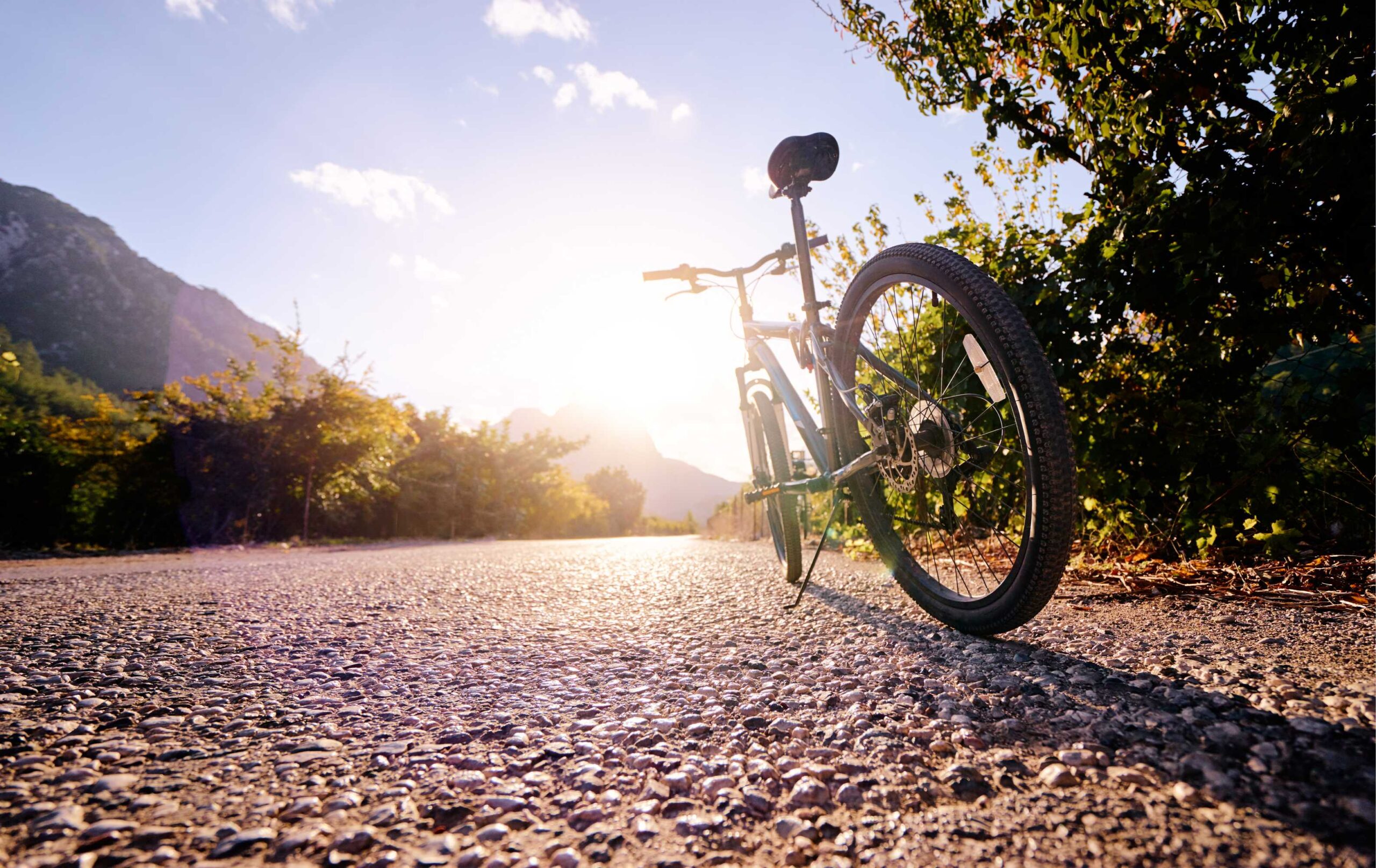 fietsaccu reviseren